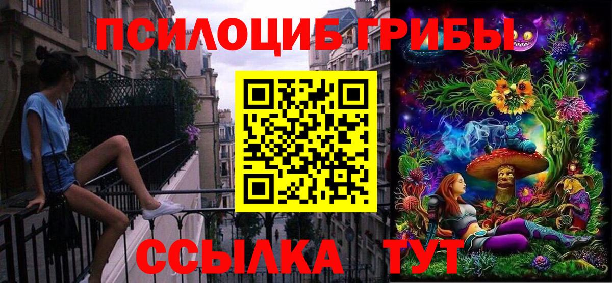 Галлюциногенные грибы ЛСД Вязники